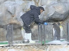 -新加坡飞禽公园