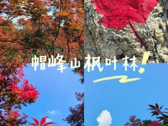 -广州市帽峰山景区