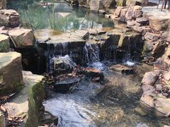 -兴福老面馆(寺路街店)