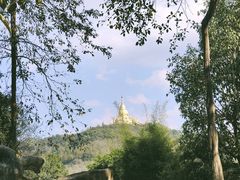 -云南勐巴娜西珍奇园