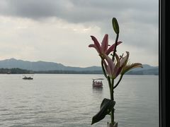 -柳莺湖上·湖景餐厅·江南菜(西湖店)