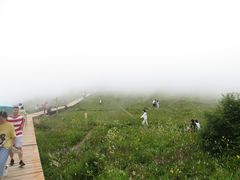 -白草畔自然风景区