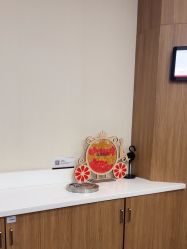 -上海玫瑰医疗美容医院