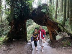 -台北故宫博物院