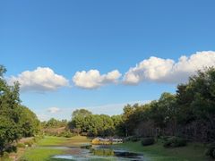 -上海海湾国家森林公园