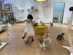 -1013 PET SHOP精品宠物商店(丁香店)