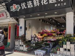 -溪岸路花鸟市场