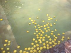 -天目湖涵田半山温泉