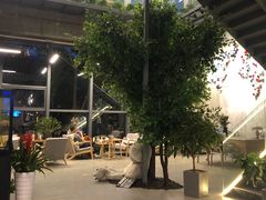 -了不起的考拉咖啡店(高新店)