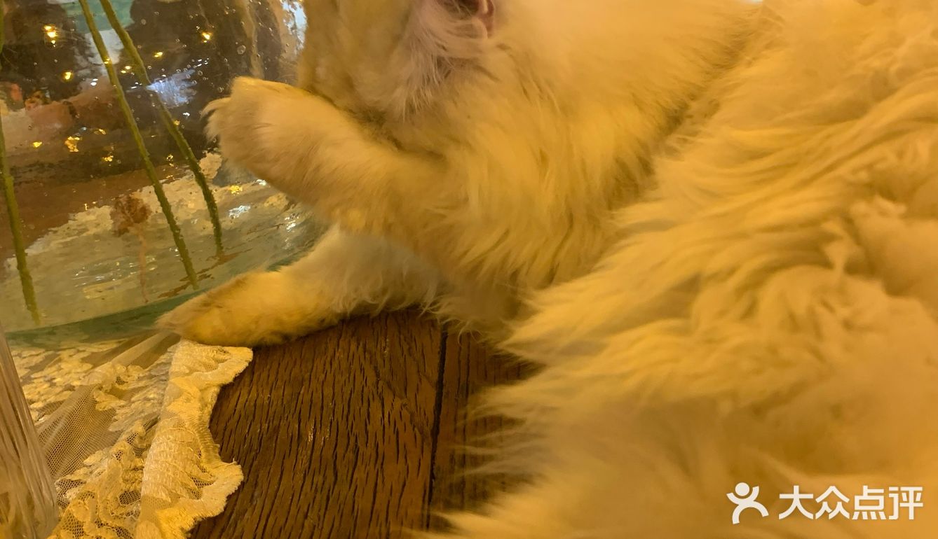 爽朗可口,祝店家生意兴隆!