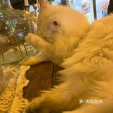 爽朗可口,祝店家生意兴隆!