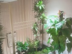 -善艾今生·推拿·艾灸·SPA(禾祥东路店)