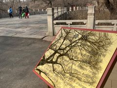-北陵公园