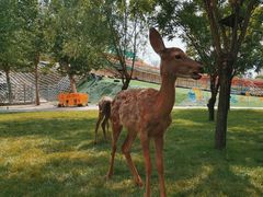 -北京鹿世界主题园