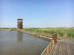-盐城丹顶鹤湿地生态旅游区