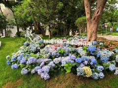 -上海市总工会沪东工人文化宫