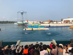 -秦皇岛乐岛海洋王国