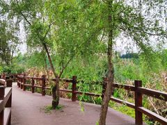 -白鹭湾湿地公园