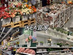 -宜家家居(西安未央商场店)