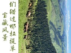 -新疆那拉提国家旅游度假区