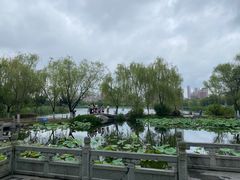 -武汉园博园(武汉自然博物馆)