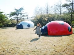 -上海都市菜园