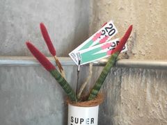 -Sarah西点·烘焙·餐厅(翰林府旗舰店)