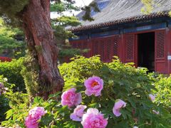 -大钟寺古钟博物馆