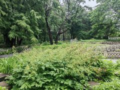 -广西壮族自治区药用植物园