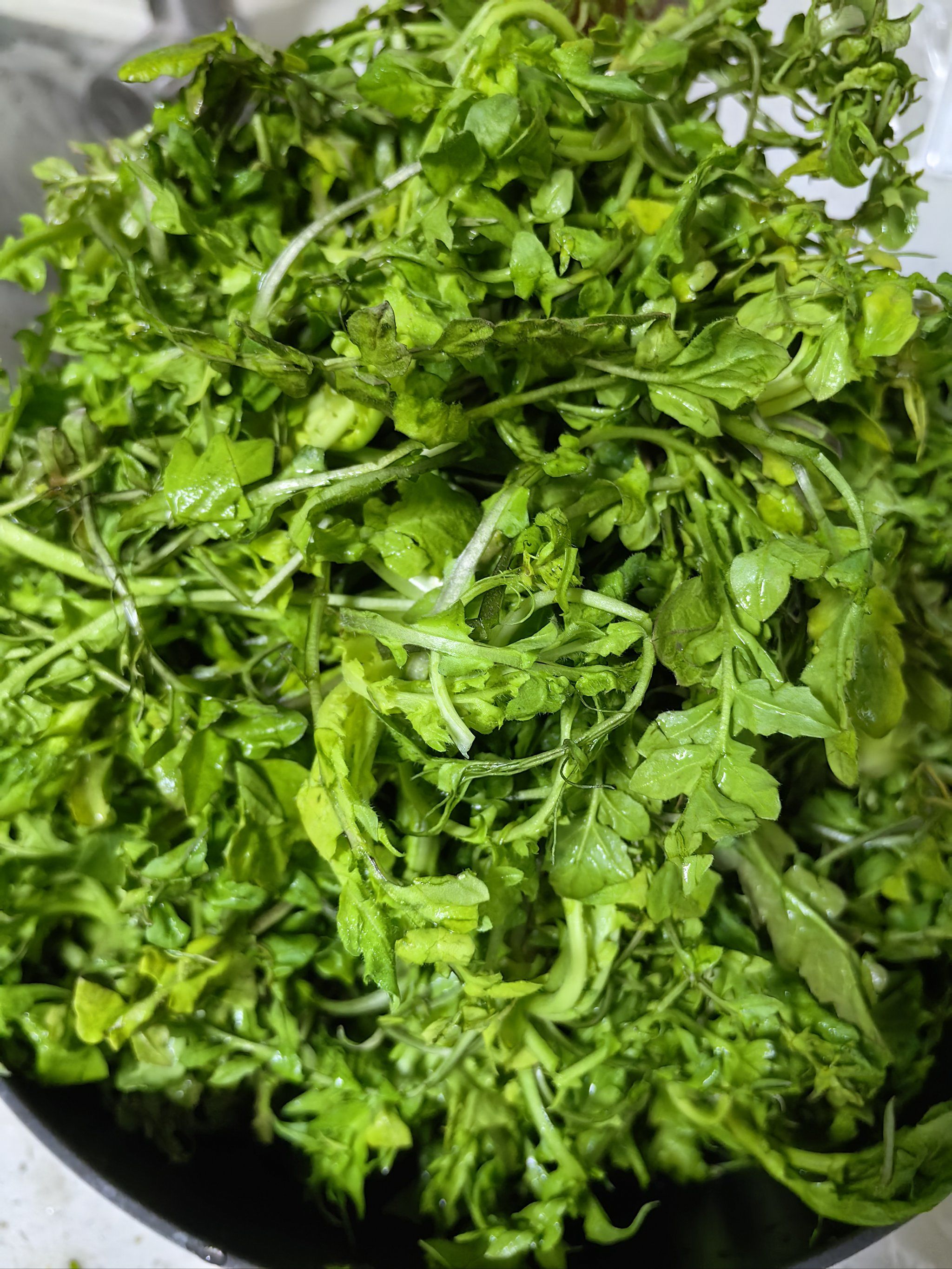 春天当然是吃荠菜啦