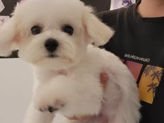 -comecome来吧宠物(奥克斯中心店)