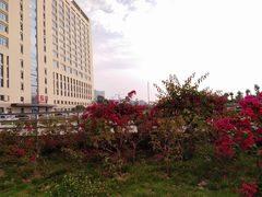 -成都市郫都区人民医院