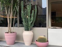 -生如夏花泰式火锅(西村黑金店)