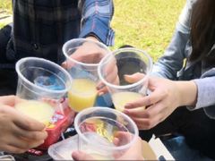 -共青国家森林公园-售票处