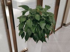 -爱康国宾体检中心(北京航天桥光耀东方分院)