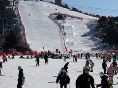 -蓟洲国际滑雪场