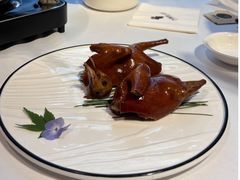 -天福苑(崇宁路店)