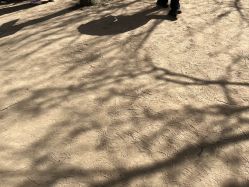 -优沃得自然教育农场·冰雪乐园·生日会·研学