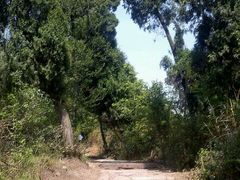 android_upload_pic-金堂县云顶石城风景区