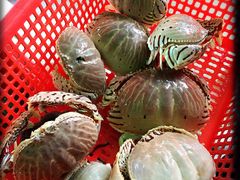 麵包蟹-外伶仃岛海鲜市场