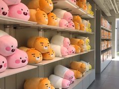 -KAKAO FRIENDS(弘大店)