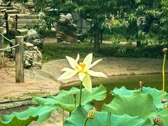 -国家植物园南园