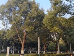 -中央公园(苏州工业园区)
