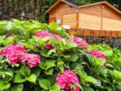 -许家山