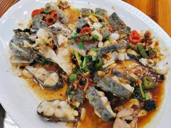 -八仔大富楼·河鲜(西江店)