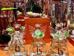 -西西弗书店&矢量咖啡(来福士广场店)