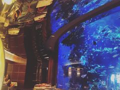 -迪拜帆船酒店海底餐厅