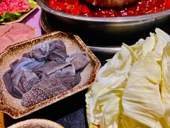 -大龙火锅(老店)