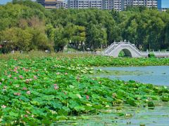-长春北湖公园
