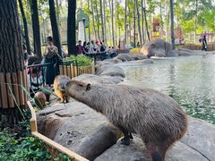 -北京野生动物园